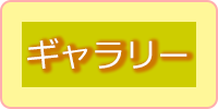ギャラリー